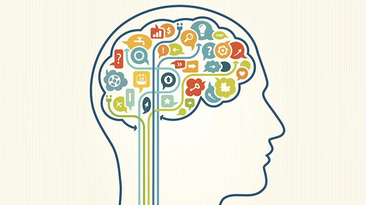 Bilingual and head